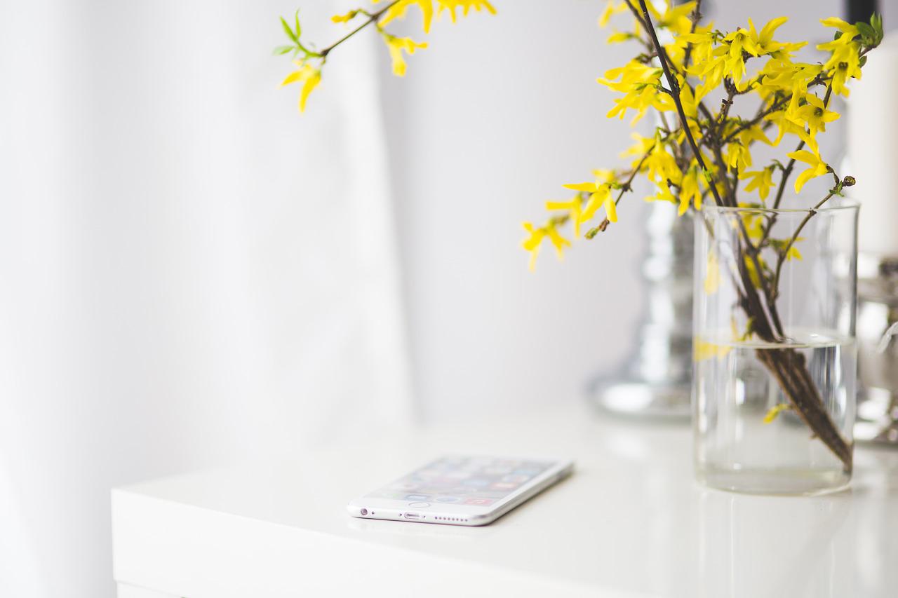 The Cleanables - Cleaning made easy
